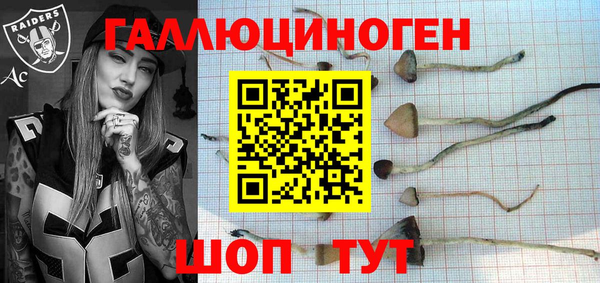 Псилоцибиновые грибы GOLDEN TEACHER Искитим